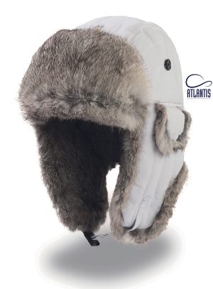 Polar