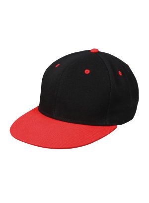 6 Panel Pro Cap