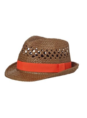 Summer Style Hat