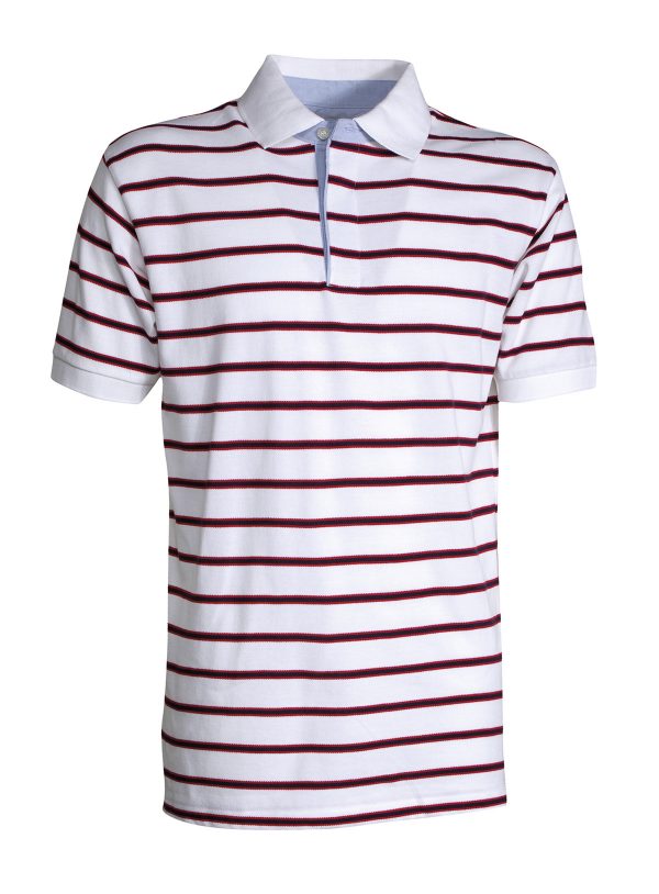 Polo Sheffield