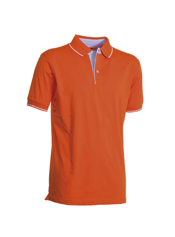 Polo Cambridge